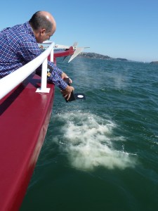 P1000849 Spreading Ashes