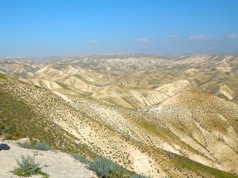 Judean Wilderness, March 2015